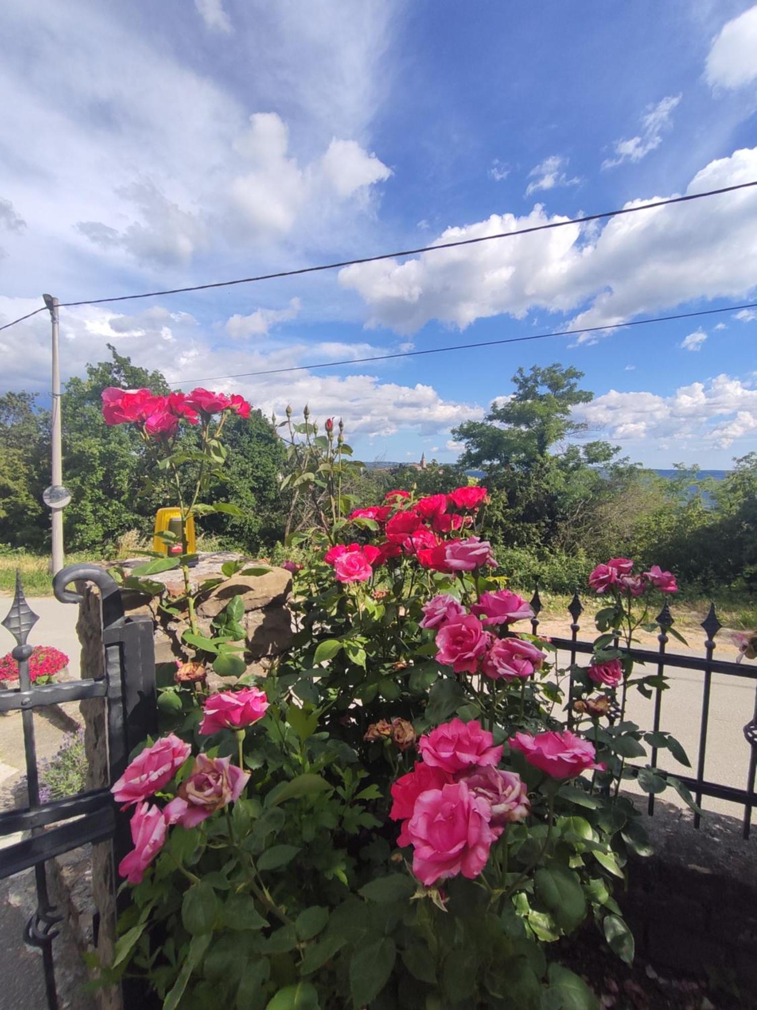 Apartman Villa Romana Grožnjan Екстериор снимка